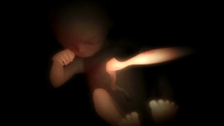 Baby_in_womb
